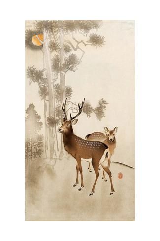 【逍遥主人】第二十八章 丽日晴空丫鬟戏 青天碧野美女嬉 作者：兰陵笑笑